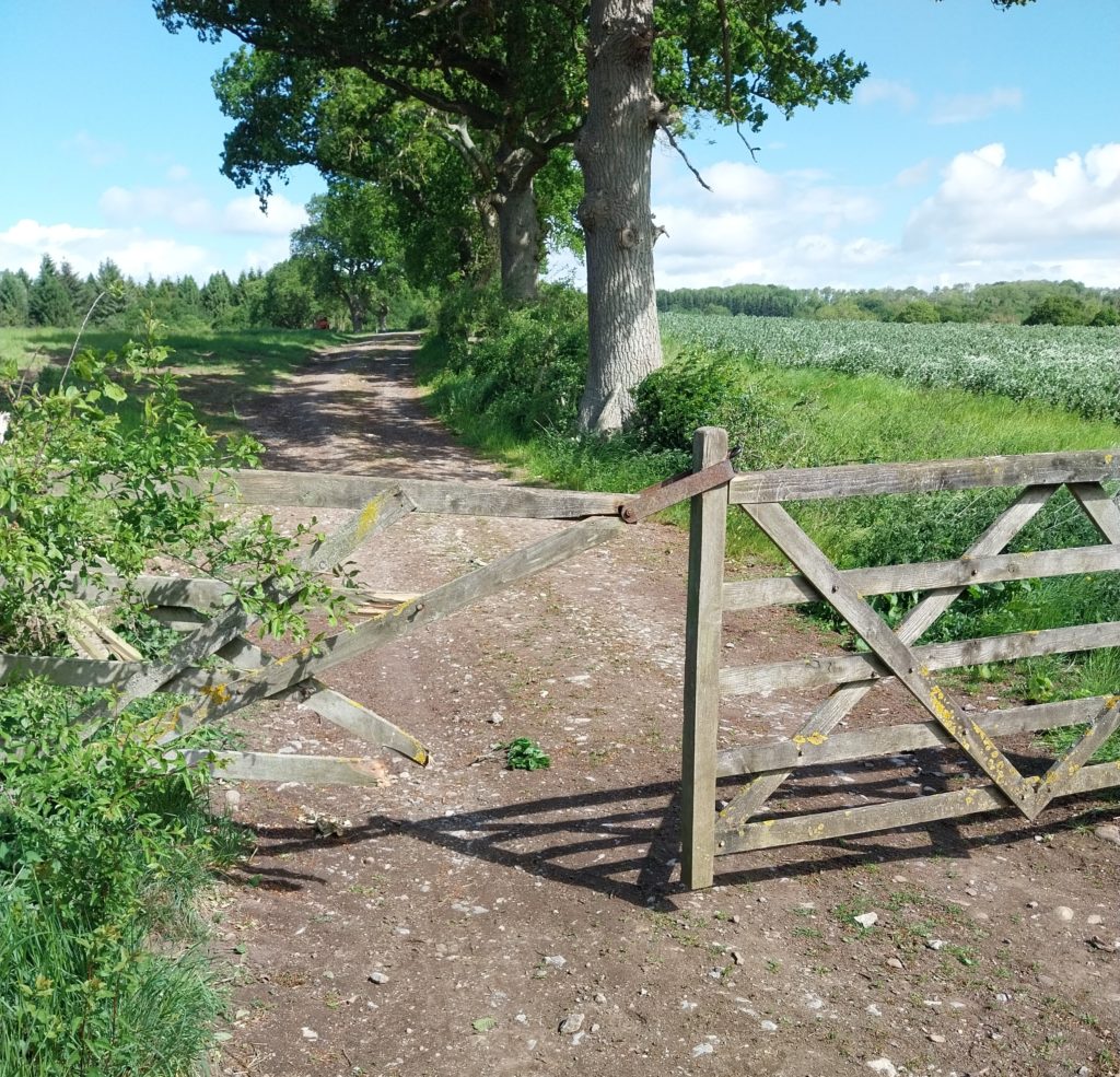 A broken gate.